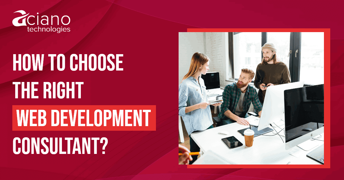 web development consultant